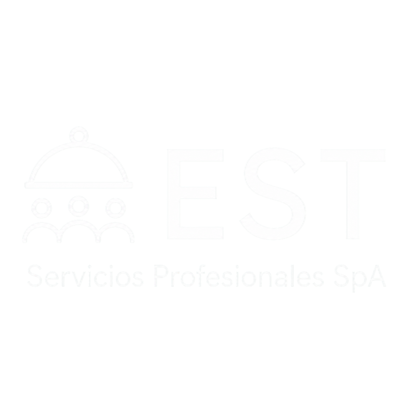 EST Servicios Profesionales SpA